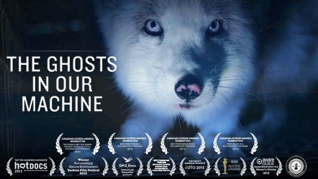 awards-hero-fox-640×360