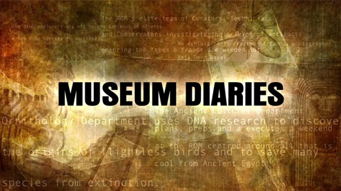 MuseumDiaries
