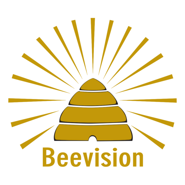 BeevisionColourCircle-960sq