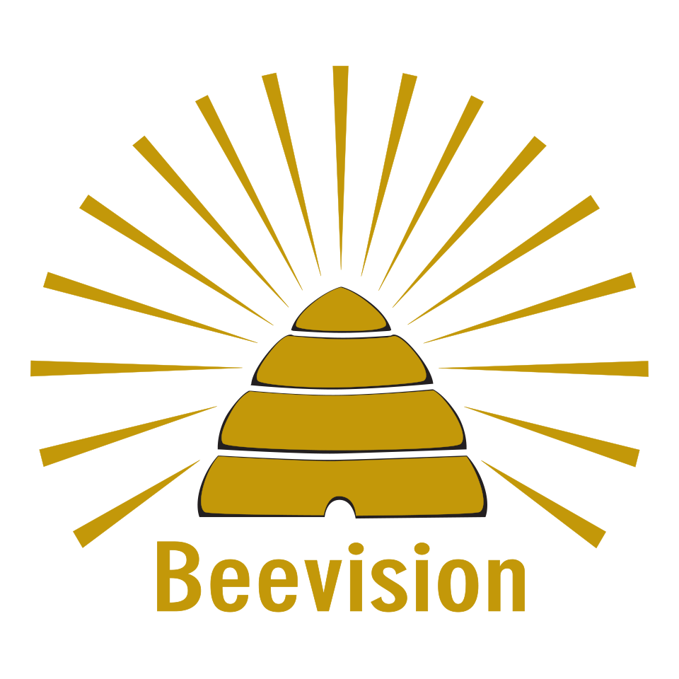 BeevisionColourCircle-960sq