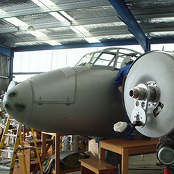 mosquito-dsc01314-250sq