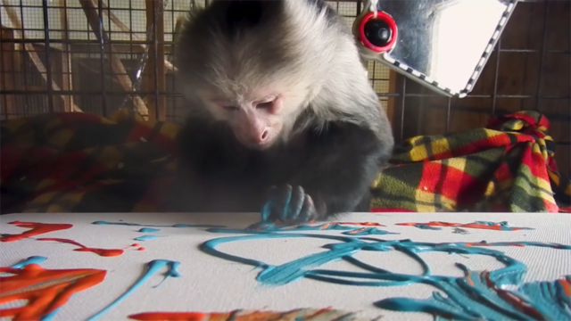 Bach_Pockets_PaintingC